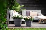 loft urban saucer square 28cm anthracite